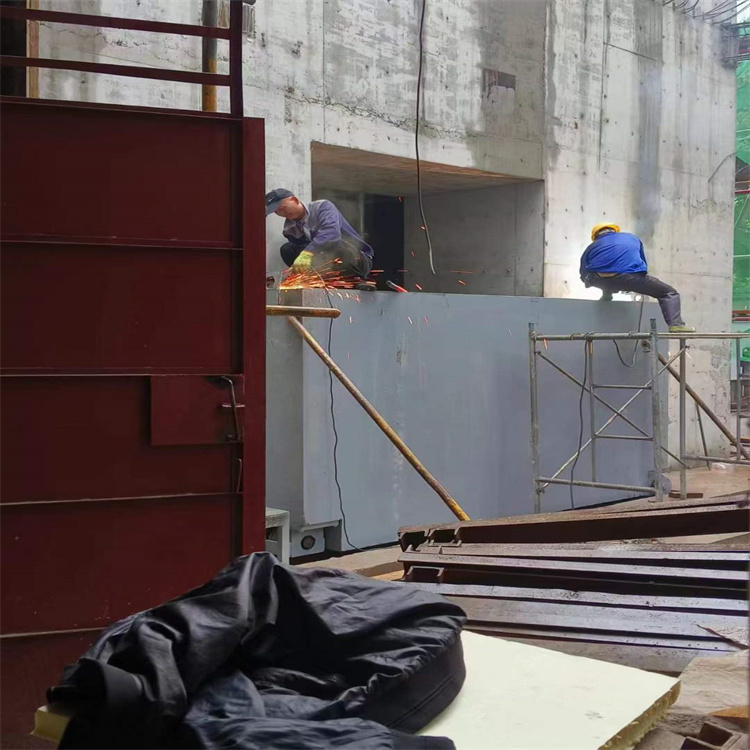 海南聊城阳谷铅门生产厂家：高强度铅门的应用